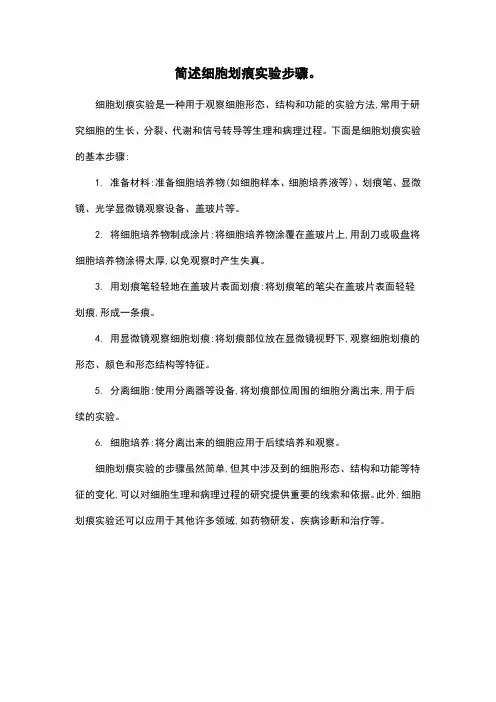 简述细胞划痕实验步骤。