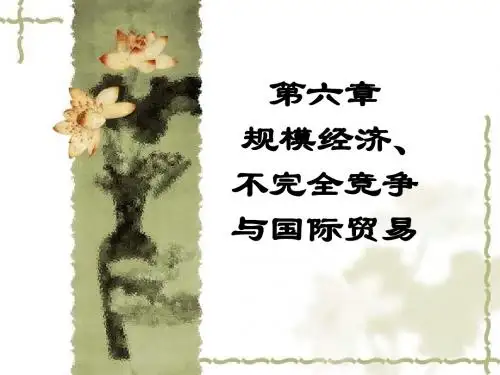 国际经济学(第六章)