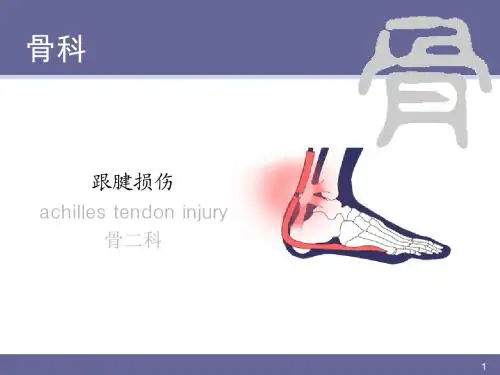 跟腱损伤PPT精品医学课件