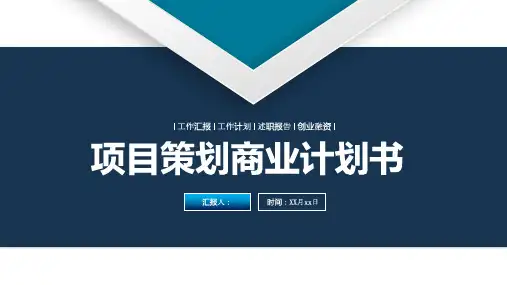 项目计划策划PPT模版 (项目策划商业计划书)