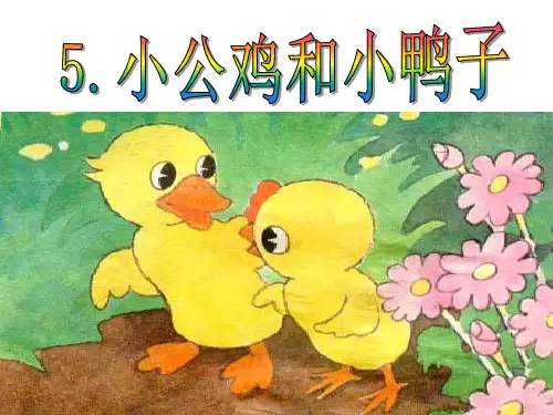 一年级下册《5 小公鸡和小鸭子》 人教部编版 实用PPT(共16张PPT)