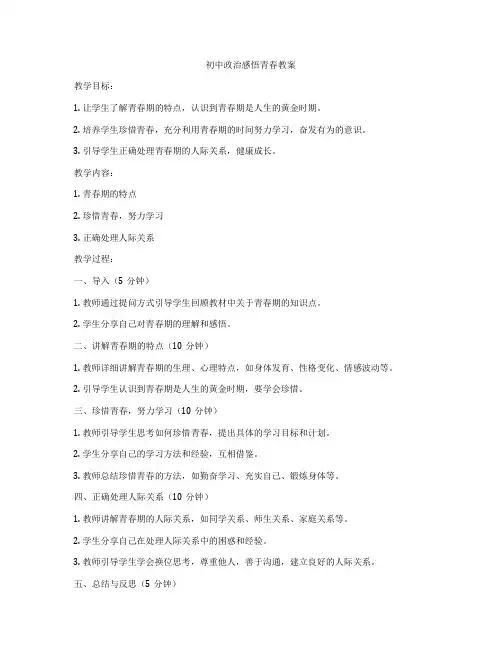 初中政治感悟青春教案