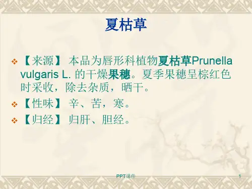 常用中药及图片  ppt课件
