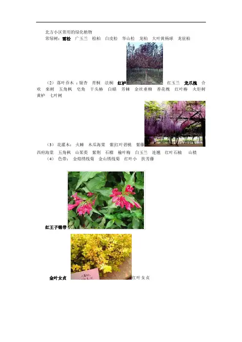 北方小区常用的绿化植物