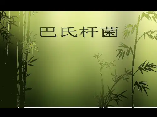 巴氏杆菌