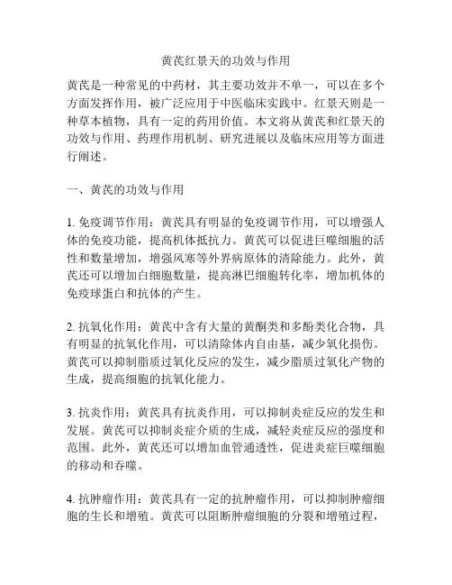 黄芪红景天的功效与作用