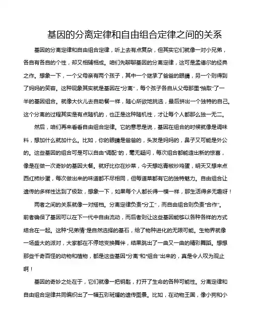 基因的分离定律和自由组合定律之间的关系