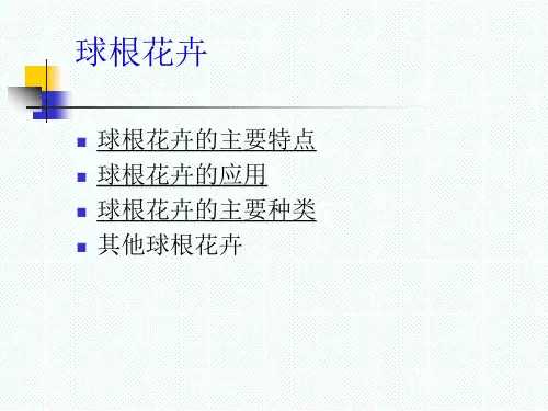 球根花卉