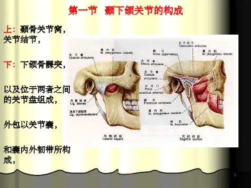 《颞下颌关节的构成》PPT课件