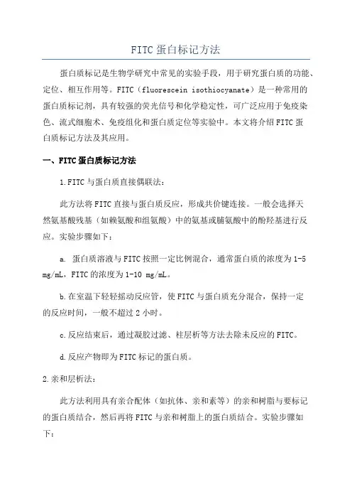 FITC蛋白标记方法