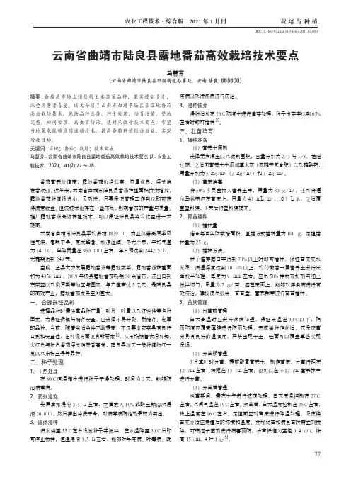 云南省曲靖市陆良县露地番茄高效栽培技术要点
