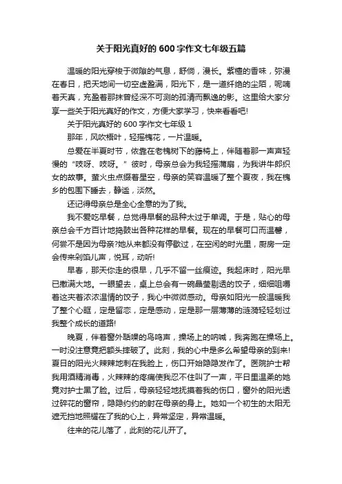关于阳光真好的600字作文七年级五篇