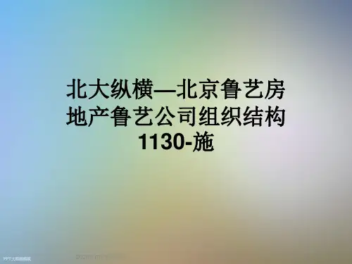 北大纵横—北京鲁艺房地产鲁艺公司组织结构1130-施