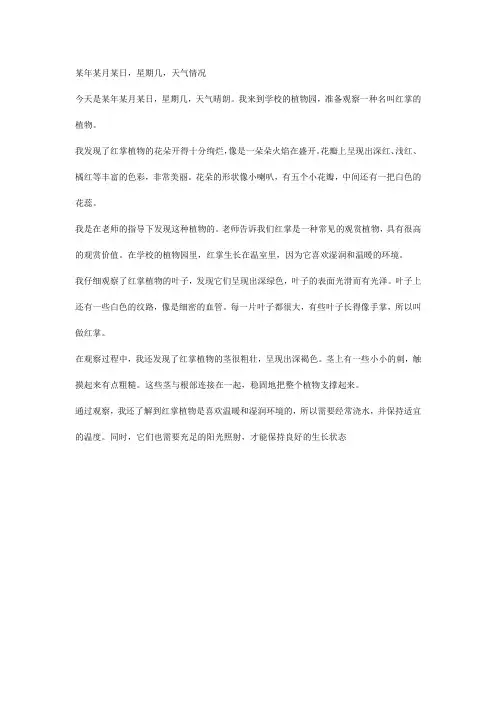 四年级作文《写观察日记》