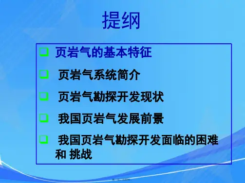 页岩气勘探开发现状及发展前景(修改后)