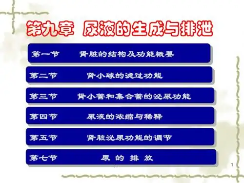 生理学  尿液的生成与排泄  PPT课件