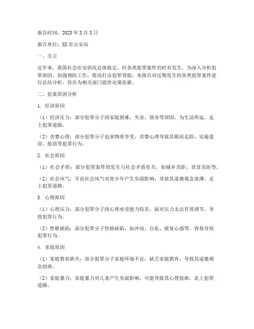 犯案原因总结报告范文