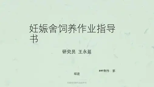 妊娠舍饲养作业指导书课件