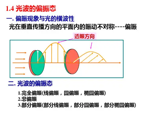 光波的偏振态