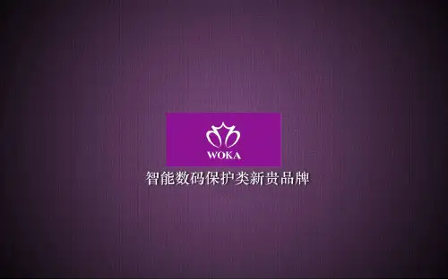 雅翰公司WOKA品牌及产品介绍-PPT