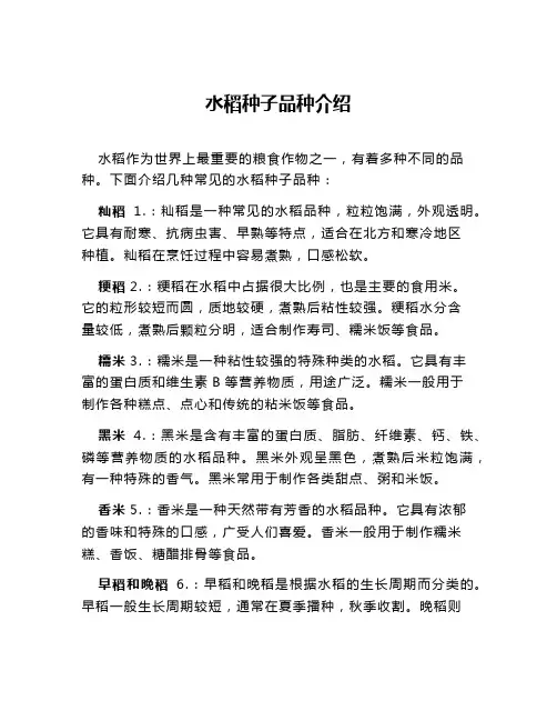 水稻种子品种介绍