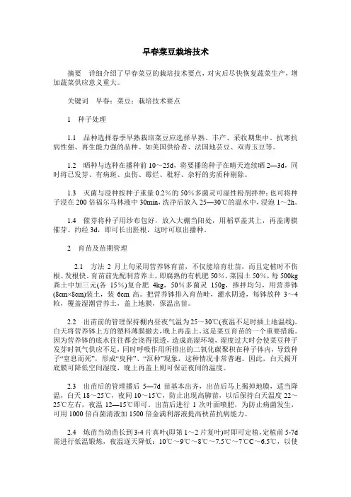 早春菜豆栽培技术