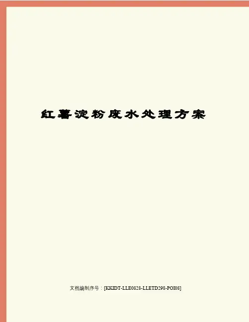 红薯淀粉废水处理方案
