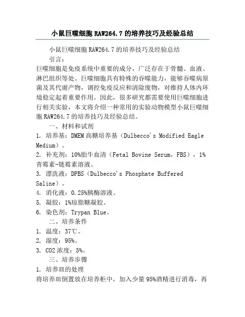 小鼠巨噬细胞RAW264.7的培养技巧及经验总结