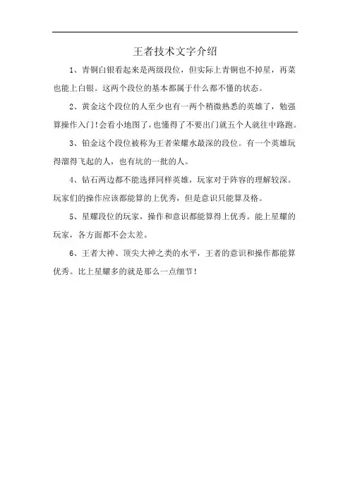 王者技术文字介绍