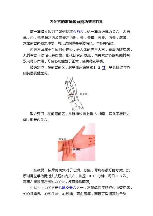 内关穴的准确位置图功效与作用