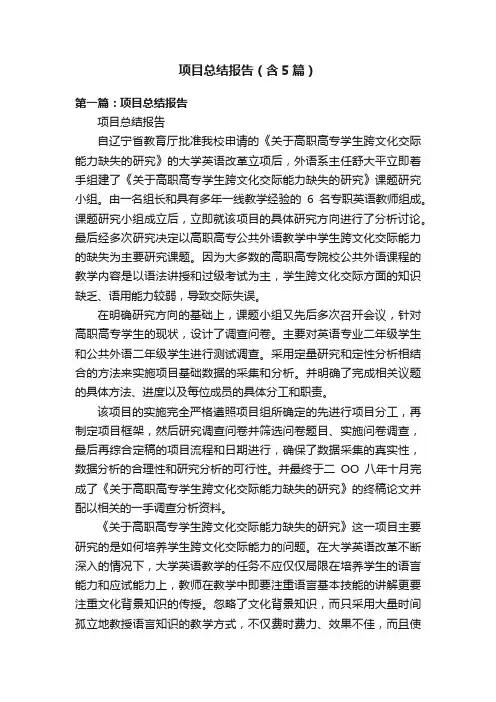 项目总结报告（含5篇）