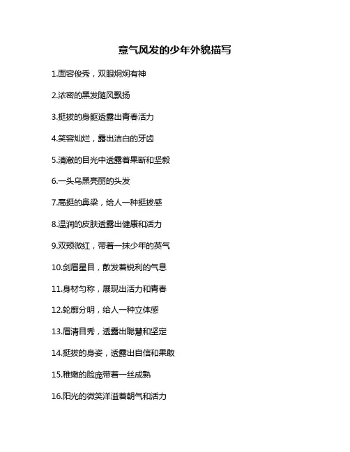 意气风发的少年外貌描写