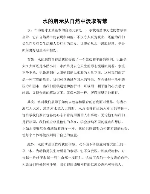 水的启示从自然中汲取智慧