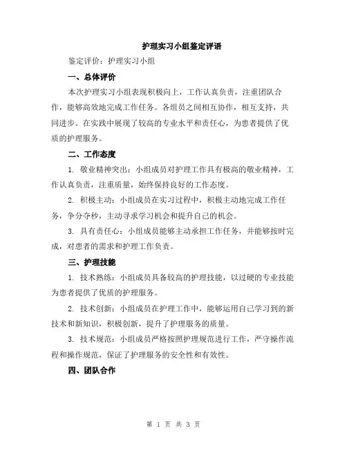 护理实习小组鉴定评语