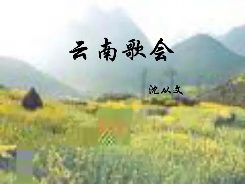 《云南的歌会》ppt课件