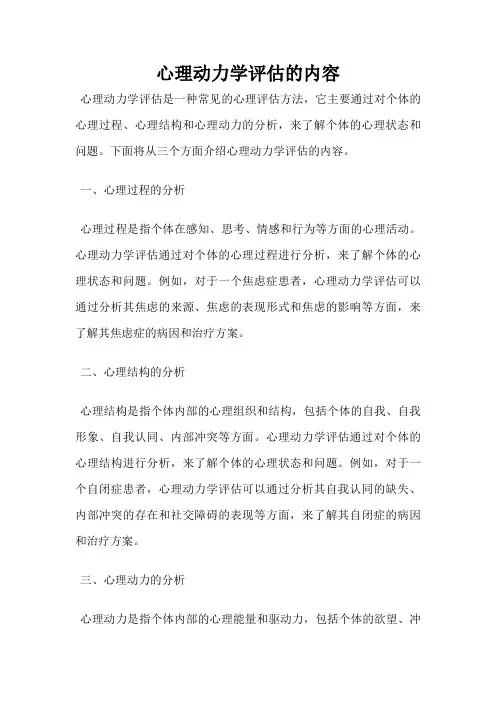 心理动力学评估的内容