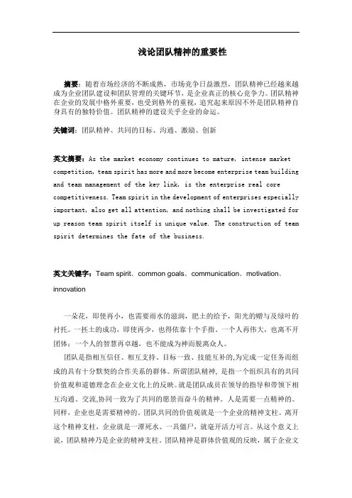 浅论团队精神的重要性