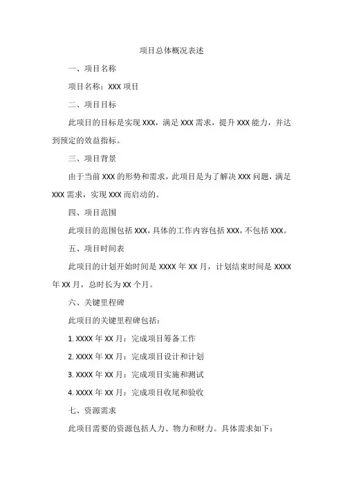项目总体概况表述