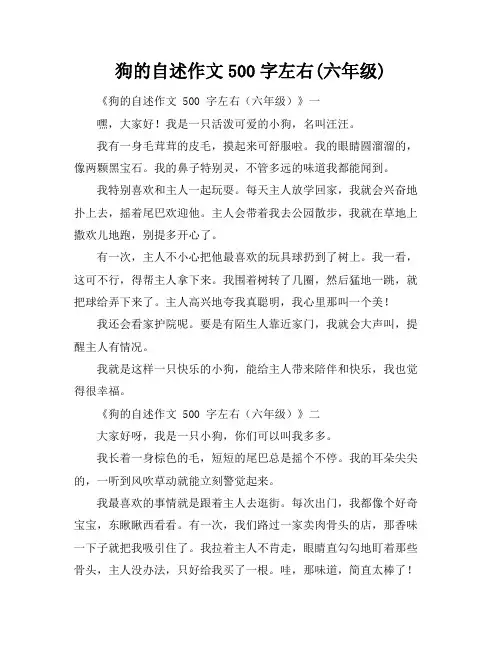 狗的自述作文500字左右(六年级)