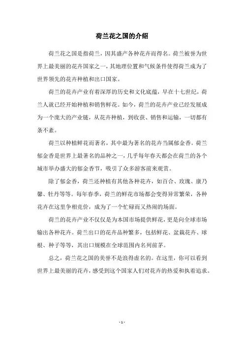 荷兰花之国的介绍