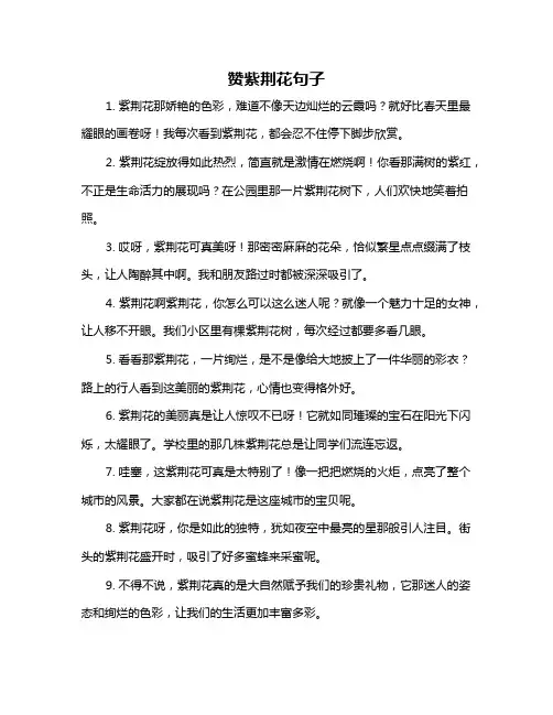 赞紫荆花句子