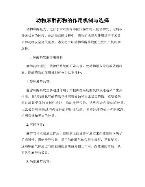 动物麻醉药物的作用机制与选择
