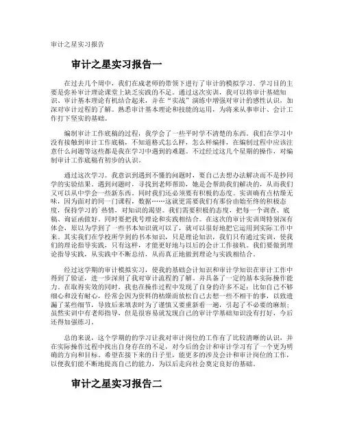 审计之星实习报告