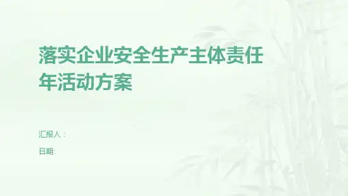 落实企业安全生产主体责任年活动方案