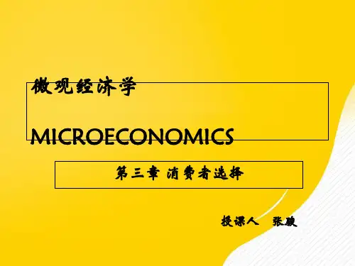 第三章生产者选择PPT资料