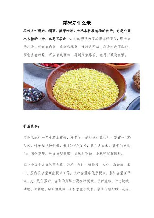 黍米是什么米