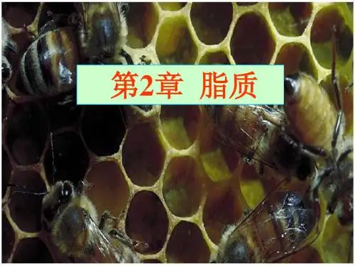 chapter2 脂质