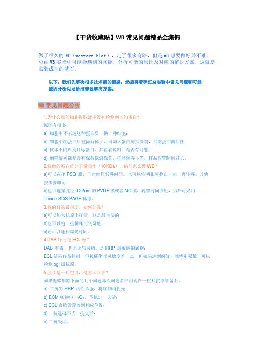 WB免疫印迹实验常见问题全汇总