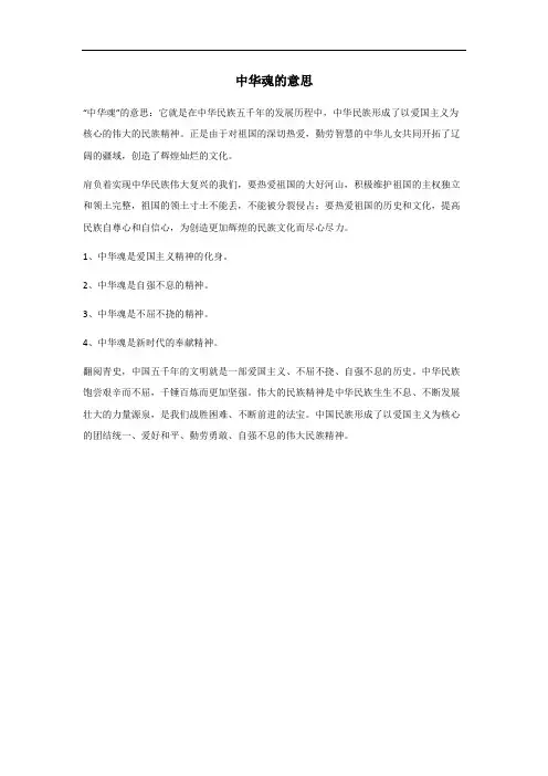 中华魂的意思