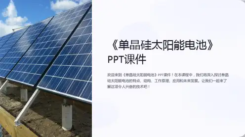 《单晶硅太阳能电池》课件